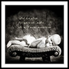 Maternity to Babies : 