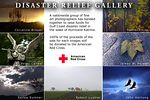 Gulf Coast Disaster Relief : 
