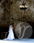 Bridal Portraits : 